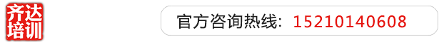 中国免费操逼一类片齐达艺考文化课-艺术生文化课,艺术类文化课,艺考生文化课logo